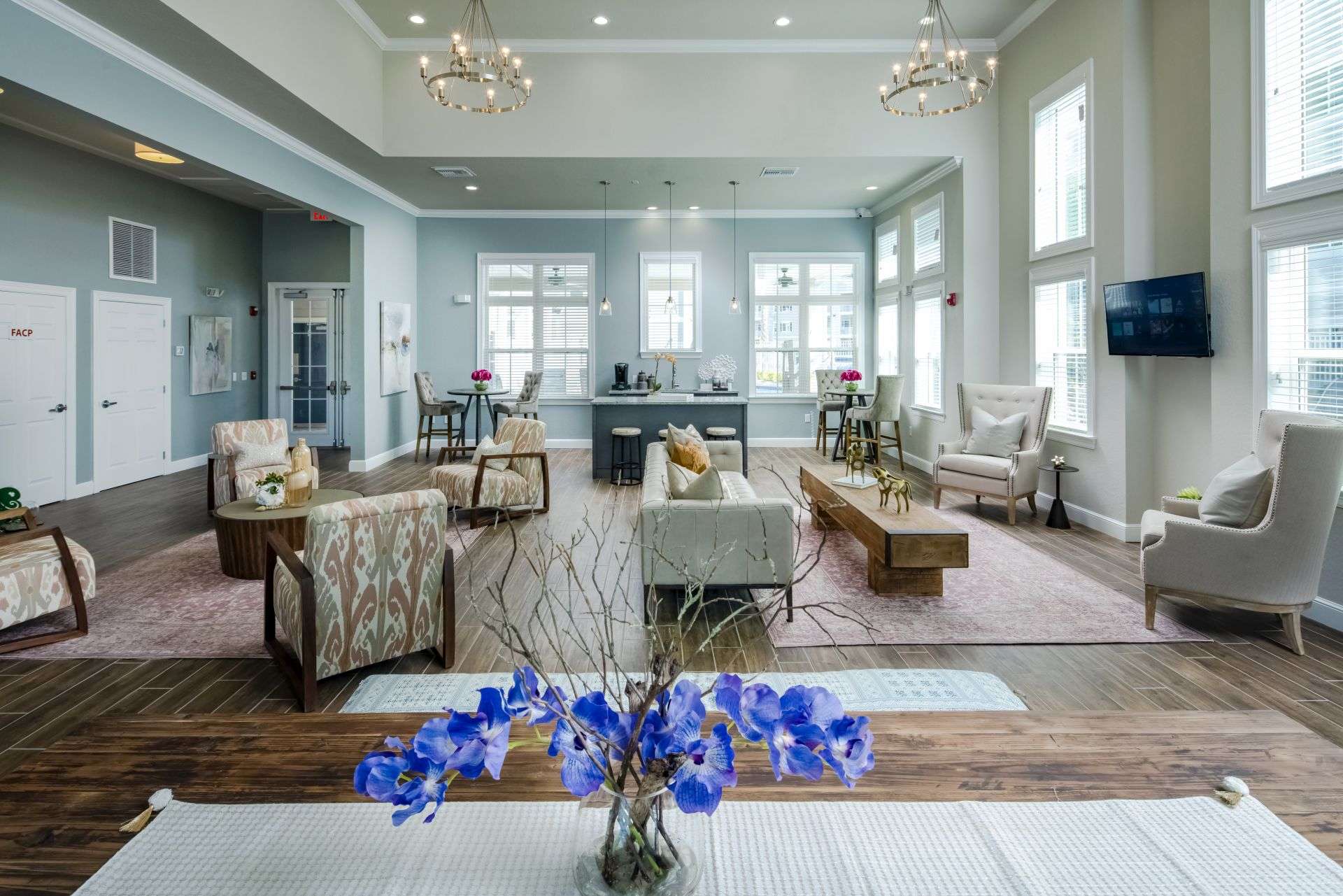 Our Luxurious Community Room